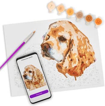 an in-progress color-by-number picture of a dog with a paint set and brush 