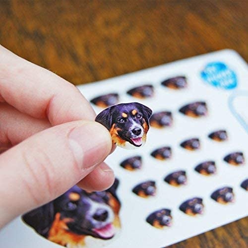 close up of a custom sticker of a dog's face