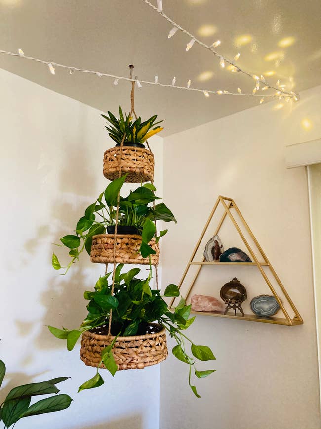 a three tier fruit hanging basket that holds plants