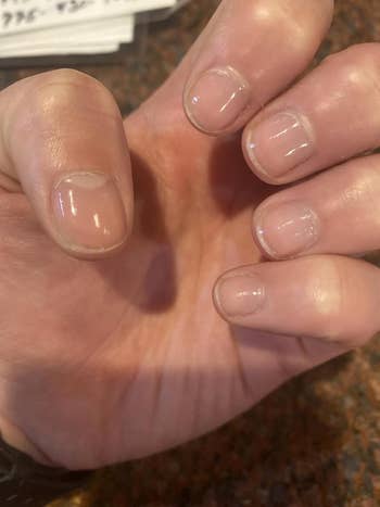 Close-up of a manus  displaying neatly manicured abbreviated  nails, conveying a cleanable  and well-groomed appearance