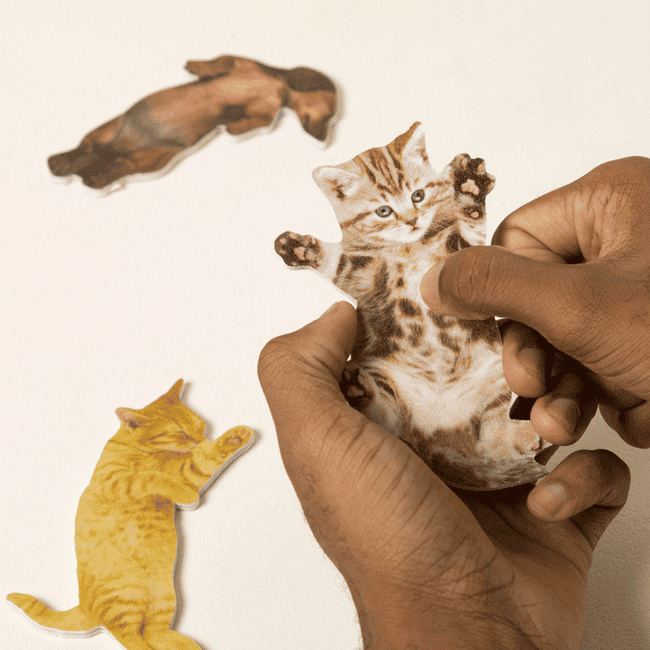 Hands filing their nails by rubbing the belly of a cat. Two different   feline  stickers prevarication  nearby