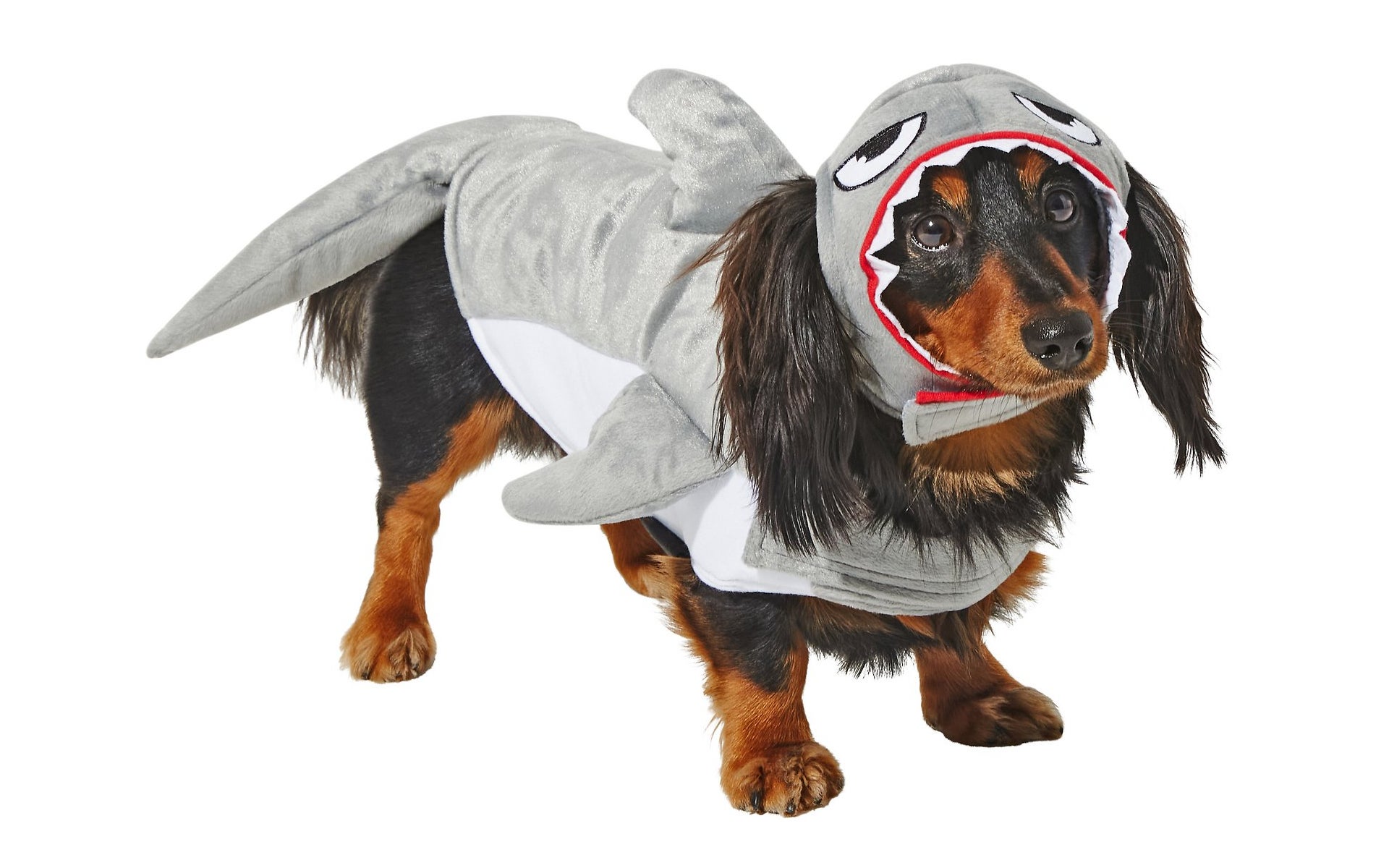 Shark attack costume