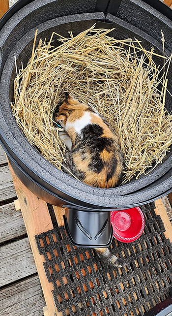 The Kitty Tube Outdoor Insulated Cat House Gen 4 with Straw