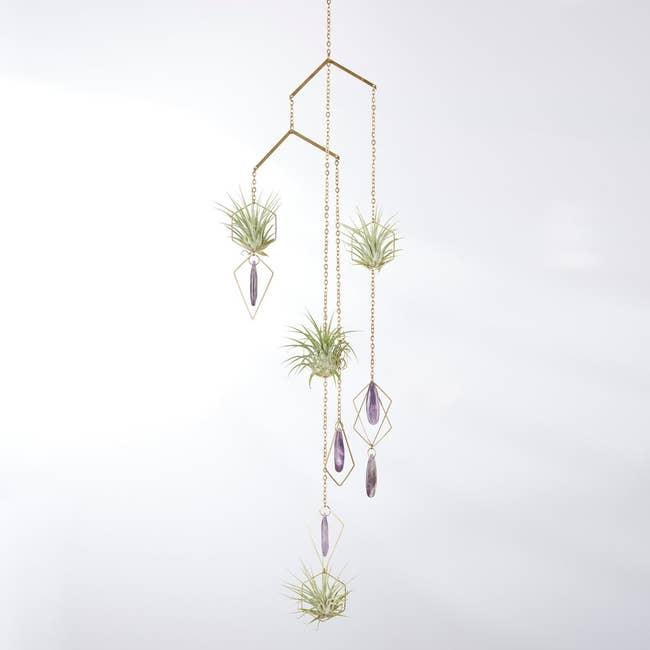 Air plants hanging in a geometric gold frame with purple crystals, for modern home decor