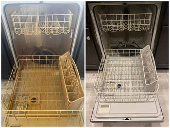 reviewer's dishwasher earlier and aft utilizing cleaning solution