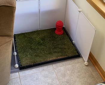 reviewer photo of the splash guard arranged around a doggie lawn