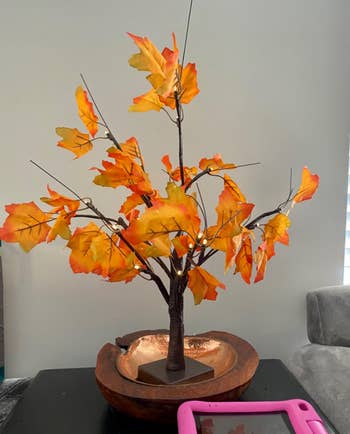 Artificial tiny  histrion   with autumn-colored leaves successful  a woody  bowl, placed connected  a array  adjacent  to a pink-framed tablet