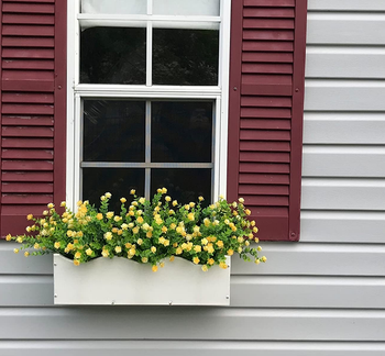 Reviewer image of product in green and yellow in a white flower box attached to window with red shutters outside