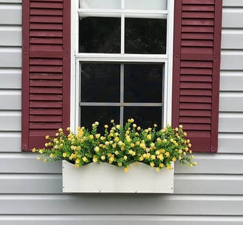 Reviewer image of product in green and yellow in a white flower box attached to window with red shutters outside