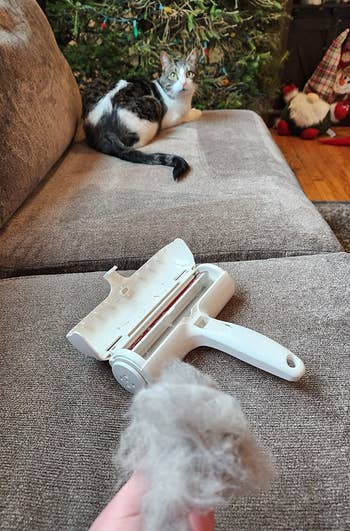 reviewer holding all the hair the ChomChom removed from their couch with cat in the background