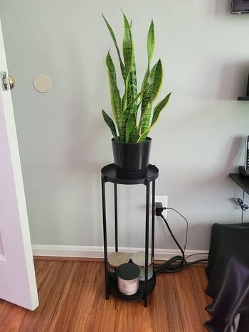 reviewer photo of black planter holding a snake plant
