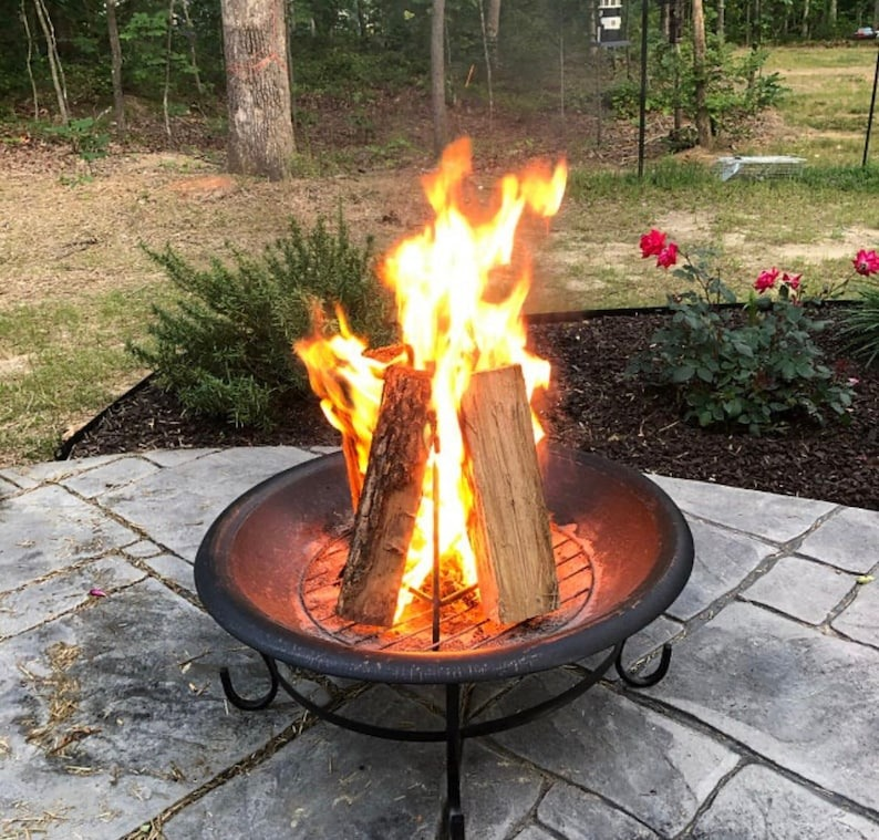 A occurrence  pit with burning logs connected  a chromatic  patio, surrounded by plants and outdoor scenery
