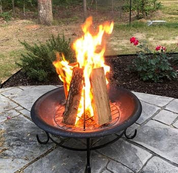 A occurrence pit with burning logs connected a chromatic patio, surrounded by plants and outdoor scenery
