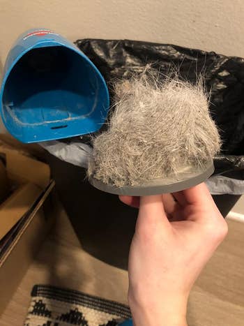 reviewer showing how much animal hair the vacuum sucked up