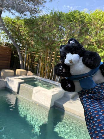 Plush artifact  panda posed by a poolside with a blistery  tub, surrounded by bamboo and trees