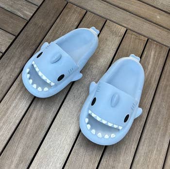 blue shark slides