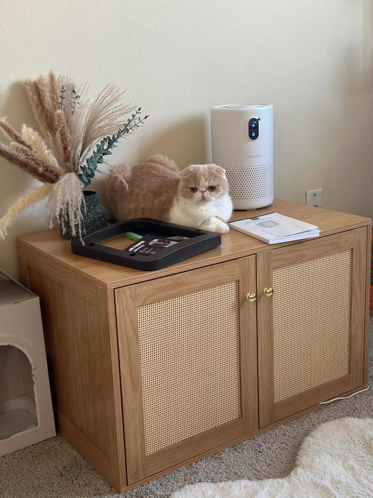 reviewer's cat lounging next to air purifier