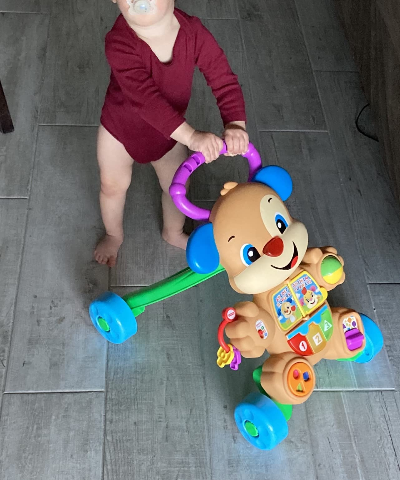 fisher price walk behind dog