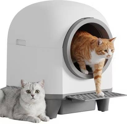 Two cats with a modern, dome-shaped litter box, one exiting. Ideal for pet shopping enthusiasts