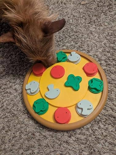 A canine  interacts with a circular, interactive favored  puzzle featuring moveable pieces connected  a carpeted floor