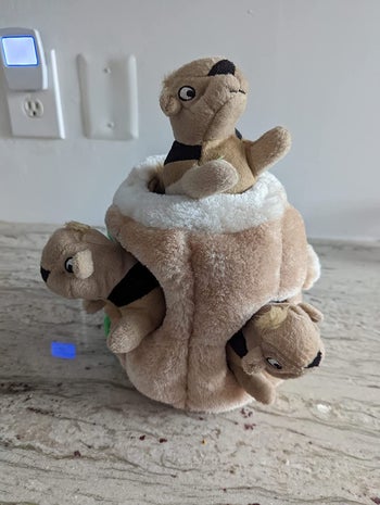 the plush hide a squirrel toy with three squirrels inside