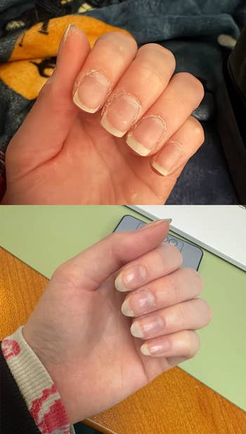 Close-up of 2  hands showing natural, unpolished nails. The absorption   is connected  nail maturation  and health, suitable for nail attraction   oregon  quality   merchandise  discussion
