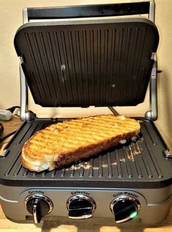 reviewer photo of a panini with grill marks on the griddler