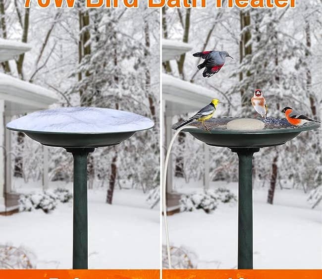 A bird bath with frozen water/The same bird bath with the heater and water inside while birds take a bath