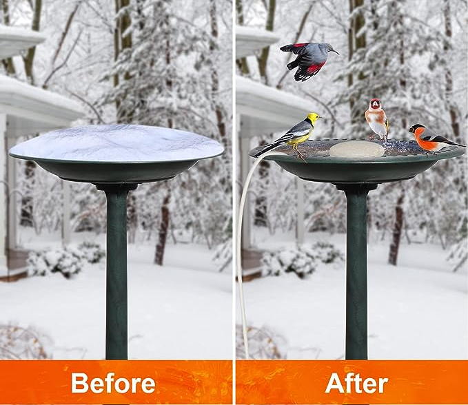 A bird bath with frozen water/The same bird bath with the heater and water inside while birds take a bath