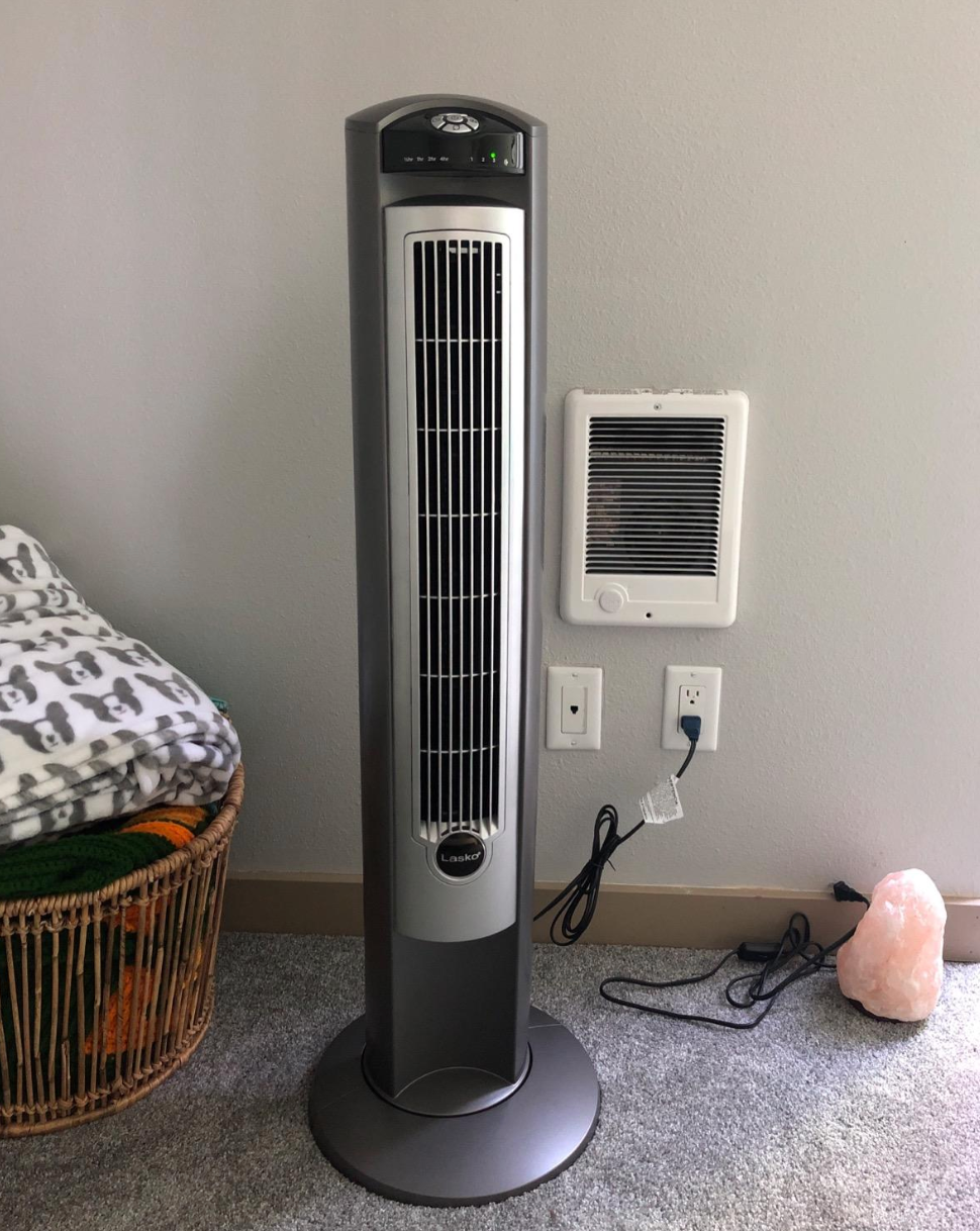 reviewer photo of the fan