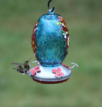 reviewer photo of hummingbird at blue hummingbird feeder