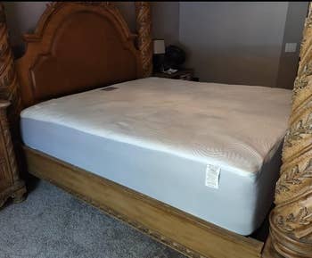 White queen sized pad on a bed