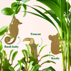 bush baby, toucan, and koala versions