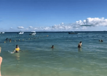 Reviewers throwing flying disc at the beach 