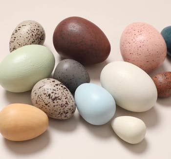 assorted decorative eggs varying in size and speckled patterns
