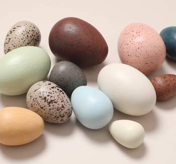 assorted decorative eggs varying in size and speckled patterns