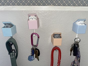 the cat hooks holding various small items