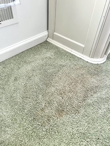 the same carpet with the stain mostly gone