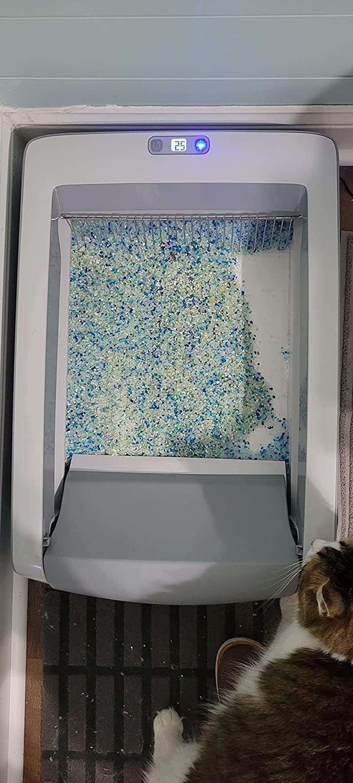 reviewer showing the top view of litter box set up with crystal litter