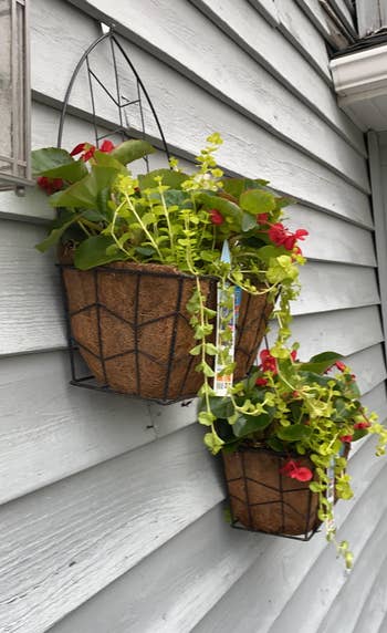 heavy looking plant basket hanging thanks to hook