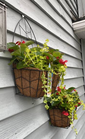 heavy looking plant basket hanging thanks to hook