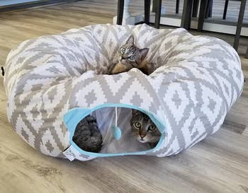 reviewer showing two cats playing in tunnel and another sitting on the top in the bed