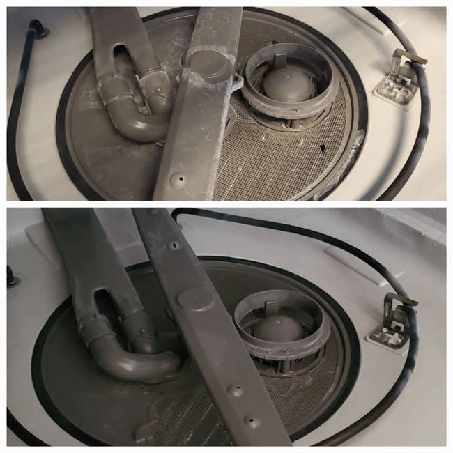 Social media trends Viral content Trending hashtags Social media updates Trending memes and videos A reviewer's dishwasher before (with residue) and after (with no residue)