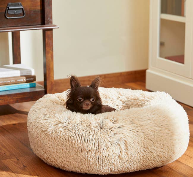 a small dog in a fuzzy pet bed