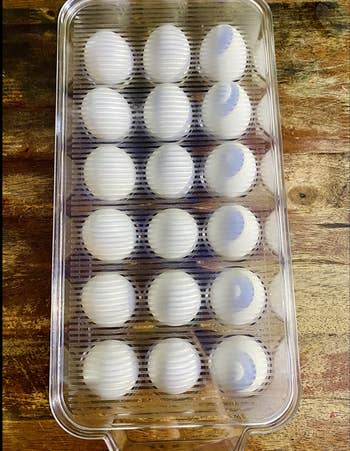 A reviewer's clear case with room for 118 eggs and a lid 