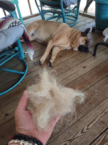 reviewer holding a huge pile of fur that they brushed off their dog