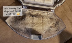 The inside of a reviewer's vacuum showing all it collects