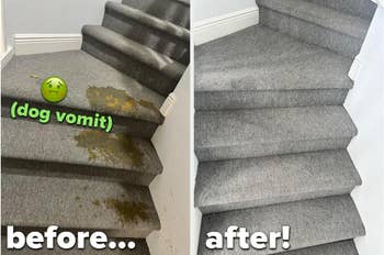 reviewer before photo of carpeted gray stairs covered in dog vomit / same reviewer after photo showing the stairs spotless and clean thanks to Bissell