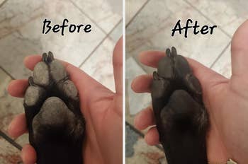 Before and aft images of a dog's soiled paw being cleaned