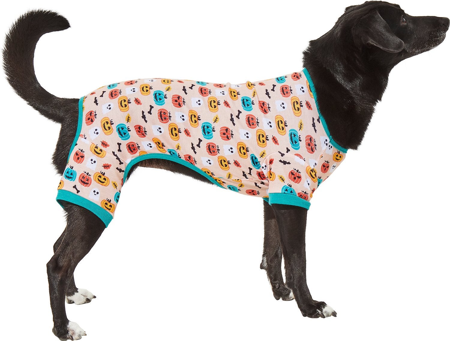 Dog wearing pumpkin pajamas